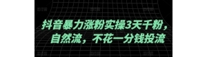 抖音暴力涨粉实操3天千粉 自然流 不花一分钱投流 实操经验分享