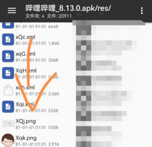 在b站安装包里发现的图标，这些图标有啥用？-小白网